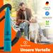 Qomfy Home Dog Pipe with Bracelet & Collar (Blue) - Ideal Recall Training & Educational Aid for Dogs - High-Quality Dog Whistle - Buy Online on SooperMarket.com