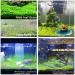 Freshwater Aquarium Plant Seeds Combo - Mini Leaf & Longhair Grass, Small Pearl - Fish Tank Terrarium Decor - Buy Online on SooperMarket.com