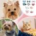 10 Pcs Small Dog Hair Clips Dog Hair Bows Puppy Hair Barrettes Pet Hair Accessories Puppy crown accessories flower accessories heart accessories Hairpin Cat Topknot Beauty Accessories(Ten Styl - Buy Online on SooperMarket.com