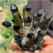 Natural Crystal Rough Crystals 1pc Black Phantom Quartz Crystal Cluster (Size : 900-1000g) - Buy Online on SooperMarket.com