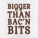 McCormick Bac'n Pieces 4.1 oz Bacon Flavored Chips - Imitation Bacon Chips (Pack of 1) - Buy Online on SooperMarket.com