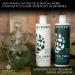 Purezero Tea Tree & Matcha Shampoo and Conditioner Set - Nourishing Scalp Treatment - Vegan & Cruelty Free - Color Safe - Buy Online on SooperMarket.com