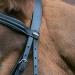 Buy Star Waldhausen Bridle Hannover Black Pony Premium Quality Equestrian Gear for International Shipping - Buy Online on SooperMarket.com