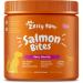 Zesty Paws Salmon Bites for Dogs Skin & Coat All Ages Salmon Flavor 90 Soft Chews