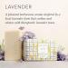 Beekman 1802 Goat Milk Soap Bar 3-Piece Set - 3.5 oz - Lavender Scented - Nourishing & Hydrating for Sensitive Skin - Cruelty-Free - Buy Online on SooperMarket.com