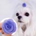 JpGdn 24 Pcs Dog Hair Bows Flowers with Rubber Bands Handmade Topknot Hair for Small Medium Puppy Doggies Kitten Cats Grooming Accessories - Buy Online on SooperMarket.com
