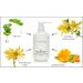 Raya Aloe Vera and Herbs Soothing Gel | Effective Moisturizer for Face & Body | Relieves Dry Chapped & Irritated Skin - Shop Internationally - Buy Online on SooperMarket.com