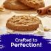 Steve and Andys Soft & Chewy Oatmeal Coconut Cookies - Gluten-Free Dessert, No Corn Syrup, Tree Nuts, Kosher, Non-GMO (2 Pack) - Buy Online on SooperMarket.com
