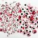Weraru Bloody Red Eyeball Candy Cake Toppers - Halloween & Christmas Party Decorations - 6.8oz (Mixed Sizes) - Buy Online on SooperMarket.com