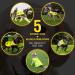 Yellow Reflective Dog Safety Vest with Leash Hole - High Visibility for Outdoor Activities | 4LegsFriend (X-Small) - Buy Online on SooperMarket.com