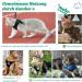Supet Cat Dishes & Soft Vest for Kittens & Chihuahuas - Lime Green | International Shipping - Buy Online on SooperMarket.com