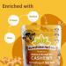 Sunshine Nuts Co. Whole Roasted Lightly Salted Cashews - Gluten Free, Peanut Free, Vegan Snack Packs - GMO Free - 2 Pack, 7 oz. Each - Buy Online on SooperMarket.com