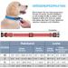 Haapaw Reflective Dog Collar - Soft Neoprene Breathable Nylon for Small & Medium Dogs (Large - 1 Pack) | Red | International Shipping Available - Buy Online on SooperMarket.com