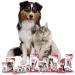 Beaphar Anti-Plaque Dental Powder for Dogs & Cats 75g Tub - Combats Plaque & Tartar, Prevents Bad Breath - Buy Online on SooperMarket.com