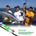 LIUMAYAS 55PCS Fishing Bells LED Night Fishing Rod Bait Alarm Bell | Dual Ring Bells for Bite Alert at Night - Buy Online on SooperMarket.com