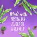 Aussie Instant Freeze Mousse with Jojoba & Sea Kelp 6 fl oz - 24 Hour Hold (Triple Pack) - Buy Online on SooperMarket.com