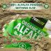 Organic Alfalfa Powder 250g Support Energy and Stress Vegan Keto Green Superfood Supergreen Raw Natural Alfalfa Powder Juice Shots PROELITE - Buy Online on SooperMarket.com