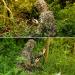 Adult Ghillie Suit 3D Leafy Camouflage Outdoor Hunting Costume - 5.9-6.1 ft Height | Ideal for Sniper, Military, Wildlife Photography, Halloween - Buy Online on SooperMarket.com