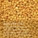 TRINIDa Wax Beads 500g Luxury Egyptian Queen Gold Hard Wax Beads with 10 Wide Applicators Professional Salon Grade Full Body Facial and Legs Painless Gentle Hair Removal Wax Beads for Women and Men Gold Pearl 500g - Buy Online on SooperMarket.com
