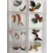 Buy Czech Nymph Fly Fishing Box - 24 Copper Wire Weighted Flies (Sizes 10/14) | Best Quality for International Shipping - Buy Online on SooperMarket.com