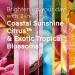 Glade 2in1 Scented Candle Coastal Sunshine Citrus + Exotic Tropical Blossoms Air Freshener Infused with Essential Oils for Home Fragrance 1 Count Coastal Sunshine Citrus & Exotic Tropical Blossoms - Buy Online on SooperMarket.com