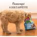 K9 Natural Grain-Free Freeze Dried Dog Food Supplement - Lamb Green Tripe 7oz - Buy Online on SooperMarket.com