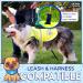 Reflective Light Fleece Dog Coat - High Visibility & Safety - 5 Sizes Available | Perfect for Outdoor Activities - Orange M - Buy Online on SooperMarket.com