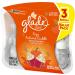 Buy Glade PlugIns Cozy Autumn Cuddle Refill - Scented Oil Air Freshener 3 Pack 2.01 fl oz | International Shipping Available - Buy Online on SooperMarket.com