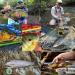 Maximcatch Ultra-Lite Fly Rod for Panfish & Trout - 6' to 7'6 | 1/2/3 WT | 4-Piece Combo for Ultimate Fishing Experience - Buy Online on SooperMarket.com