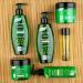 Biopoint Nutriente Mask 200ml - Deep Nourishing Hair Treatment for Luscious Locks | Buy Internationally - Buy Online on SooperMarket.com