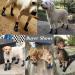KOOLTAIL Dog Socks XL - Anti-Slip with Straps, Waterproof Paw Protector for Traction Control - Black (2.6 Width x 6.3 Length) - Buy Online on SooperMarket.com