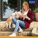 Buy Vitakraft Salmon Dog Snacks - Fish Stick Treats 50 Pack (15g Each) | Premium Quality for Happy Dogs - International Shipping Available - Buy Online on SooperMarket.com