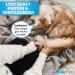 Bluepet Zauberkamm - Patented Rotating Comb for Long-Haired Dogs Cats & Humans - Effortlessly Removes Knots & Tangles - Buy Now! - Buy Online on SooperMarket.com