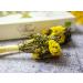 Organic Herbal Tea Sticks Floral - Leaf Handmade Bio Product Gift Set Natural Premium Quality - Buy Online on SooperMarket.com