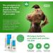 ICF Clorexyderm Shampoo 4% for Dogs & Cats - 250 ml | Best International Shipping - Buy Online on SooperMarket.com