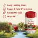 Old Spice Dry Feel Antiperspirant Deodorant for Men 24/7 Long Lasting Freshness 24/7 Sweat & Odor Protection Gentle on Skin with Skin Conditioners Orchard with Apple & Hops Water Scent 2.6 oz - Buy Online on SooperMarket.com