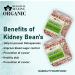 Blessfull Healing Organice Kidney Beans 1 lb (453 Gram) - Buy Online on SooperMarket.com