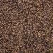 McCormick Black Pepper Can 6.00 Ounce - Buy Online on SooperMarket.com