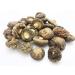 Zestful Foods Dried Shiitake Mushrooms 8 Oz - Medium Size 3-4 cm | Premium Quality - Buy Online on SooperMarket.com