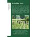 Traditional Medicinals Organic Raspberry Leaf Tea - 32 Tea Bags (Pack of 2) - Buy Online on SooperMarket.com