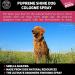 Detangling Dog Perfume Spray 250ml | Leaves Dog Coat Detangled and Super Shiny | A Great Long Lasting Dogs Hypoallergenic Grooming Cologne | Citrus Eucalyptus Lemongrass Essential Oils Scents - Buy Online on SooperMarket.com