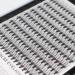 Scala 200pcs C Curl 0.07mm 20 Root Individual Cluster Eye Lashes 12mm - Black False Eyelashes for Professional Makeup - Buy Online on SooperMarket.com