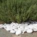 Kalapanta - Large size recycled plastic decorative pebbles for pots paint aquariums garden mini pack rock painting white (5-8cm) | Mini-pack - Buy Online on SooperMarket.com