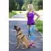 DINGO Canicross Belt 4-in-1 | Universal Adjustable Hands-Free Dog Walking Belt | Reflective Multifunctional | Running Sports Jogging Training | Black Waist Belt (12780-2) - Buy Online on SooperMarket.com