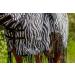 Marengos Zebra Fly Outdoor Ceiling Blanket | Insect Protection | Saddle Cutout & Neck Part | Fine-Meshed Design | Black & White | 125 cm - Buy Online on SooperMarket.com
