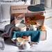 Get Well Soon Care Package for Women - 13pc Sympathy Spa Kit Gift Basket with Throw Blanket and Diary - Self Care Gifts for Women - Buy Online on SooperMarket.com
