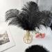Pioio 20pcs Black Ostrich Feathers Plumes 12-14 inch - Ideal for DIY Halloween & Gatsby Decorations - Buy Online on SooperMarket.com