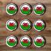 48 Welsh Dragon Cupcake Toppers Edible Welsh Flag Cupcake Decorations St Davids Day Decorations Rugby Cake Decorations Dragon Cake Topper Rugby Cake Topper Daffodil Decorations Welsh Bunting - Buy Online on SooperMarket.com