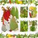 99 Pieces Pressed Leaves Real Dried Leaves Dried Plants Assorted for Resin  Plant Herbarium Leaves Natural Dry Leaves for Art Craft DIY  Jewelry Decoration  Handmade Bookmarks  5 Bags
