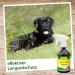 CDVET NATURDEDEDE INSETOVET Spray 500ml - Effective Flea & Tick Protection for Dogs & Cats - Instant Insect Defense & Parasite Prevention - Buy Online on SooperMarket.com